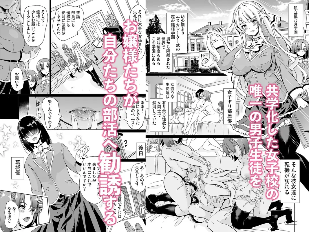 女子ヤリ部屋部の男根    〜痴女ハーレム〜  総集編 サンプル画像 1枚目